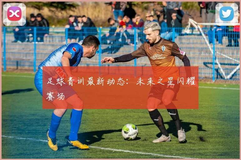 足球青训最新动态:未来之星闪耀赛场