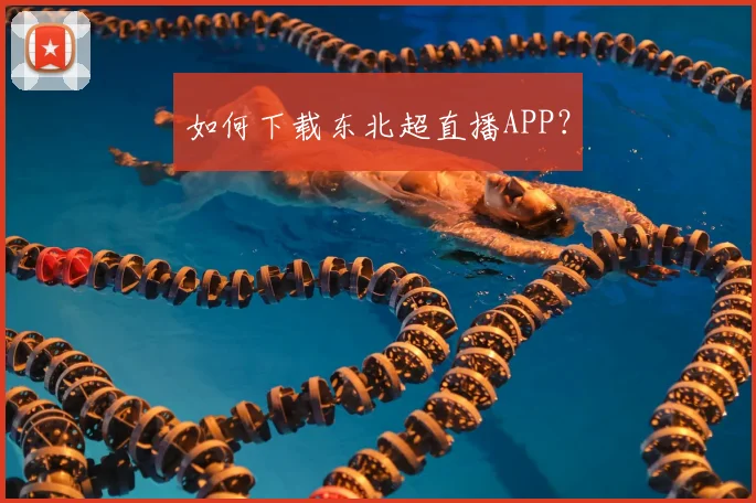 如何下载东北超直播APP?