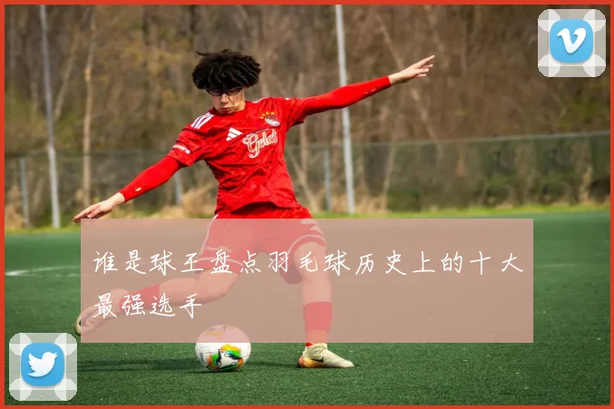 谁是球王盘点羽毛球历史上的十大最强选手
