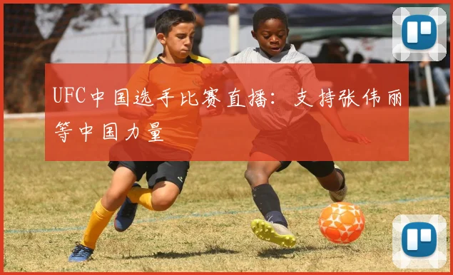 UFC中国选手比赛直播：支持张伟丽等中国力量