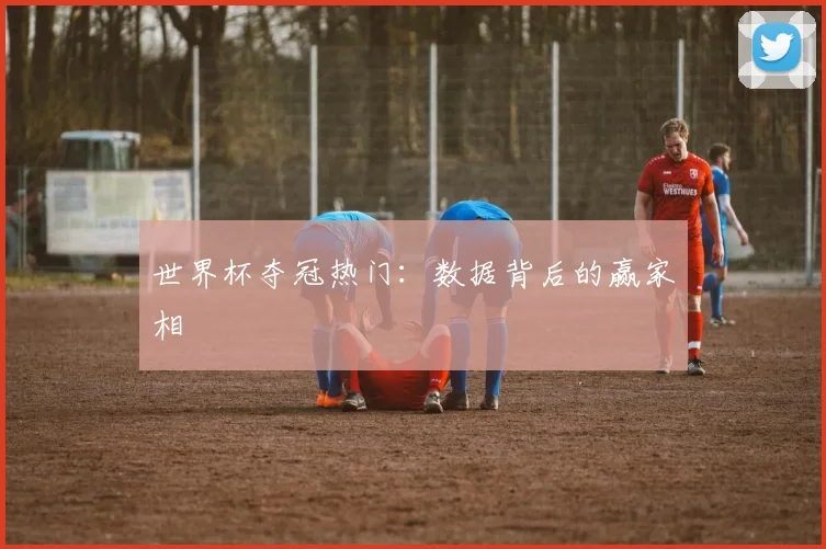 世界杯夺冠热门:数据背后的赢家相
