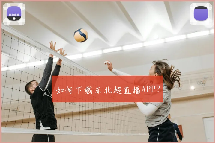 如何下载东北超直播APP？
