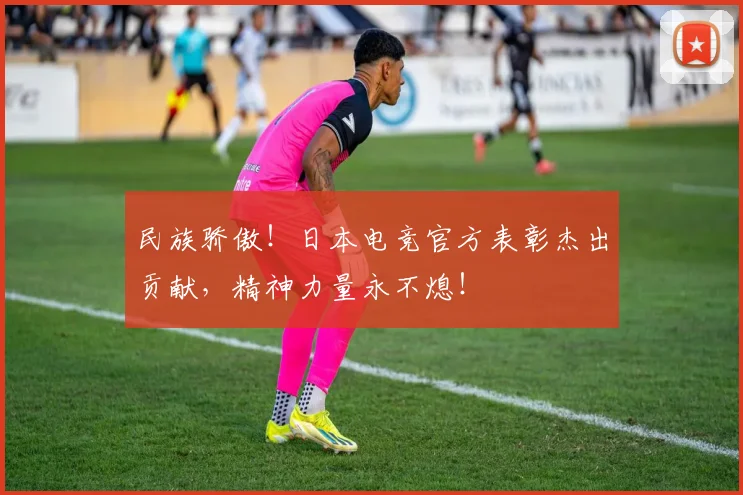 民族骄傲!日本电竞官方表彰杰出贡献,精神力量永不熄!
