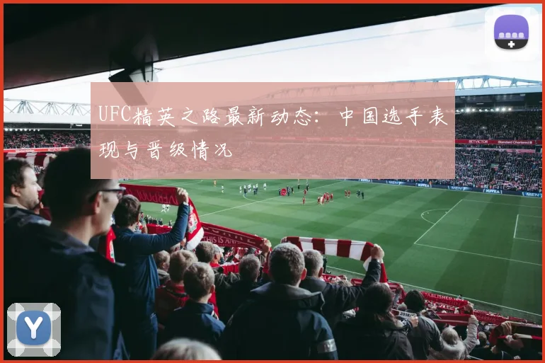 UFC精英之路最新动态：中国选手表现与晋级情况